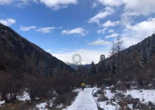 小猫钓鱼游戏龙王版有船