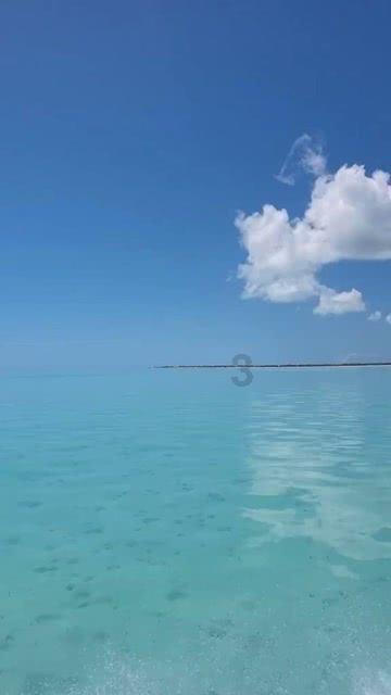 迪马济奥:完全谈妥,罗马后卫维纳将以810万欧转会弗拉门戈